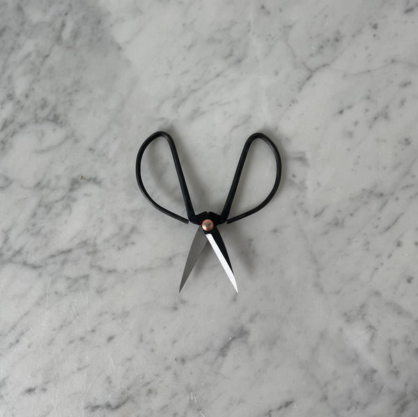 Iron Shears